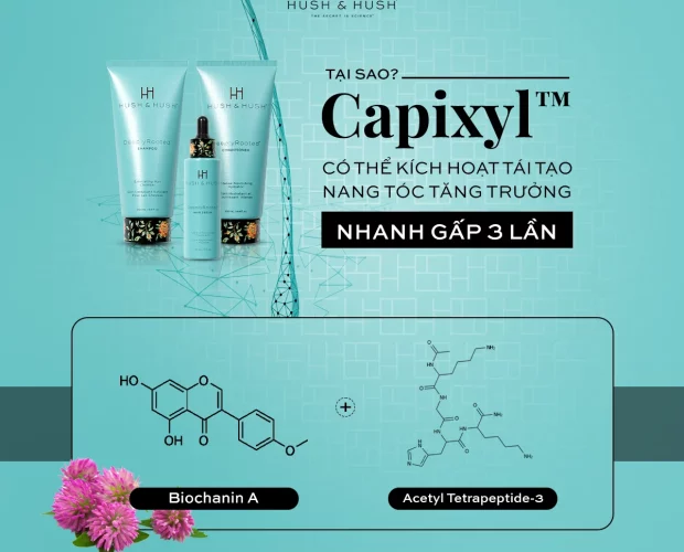 Tại sao Capixyl có thể kích hoạt tái tạo nang tóc tăng trưởng nhanh gấp 3 lần?