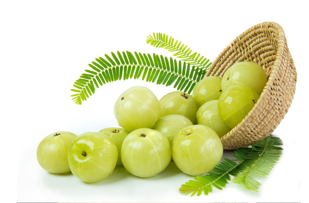 Chiết xuất quả Amla